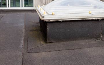 disadvantages of Birts Street flat roofs